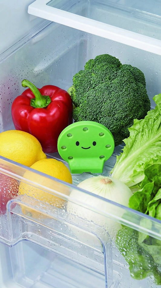 Vegista Vege-Coco Chan Fruit & amp; Vegetable Freshness Preserver